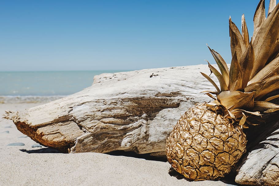 pineapple, dessert, appetizer, fruit, juice, crop, beach, ocean HD wallpaper