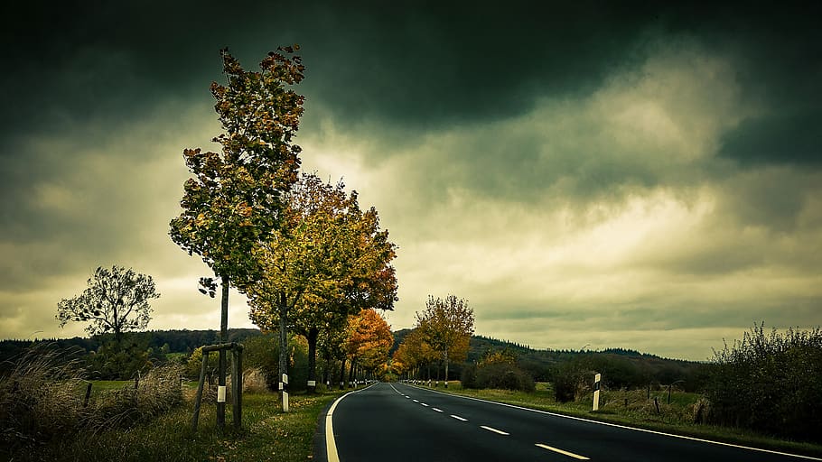 Empty Highway Beside Trees, asphalt, clouds, dark clouds, dawn HD wallpaper
