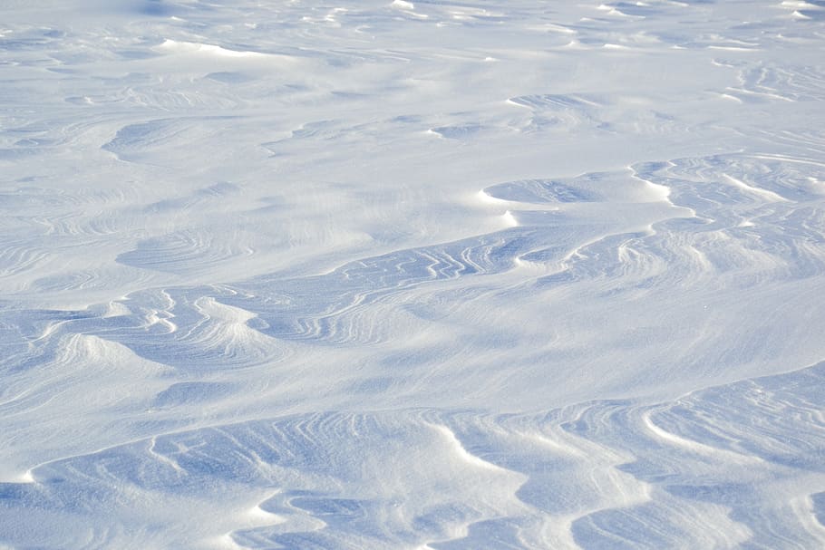 snow, snowdrifts, winter, field, white, landscape, frost, cold, HD wallpaper