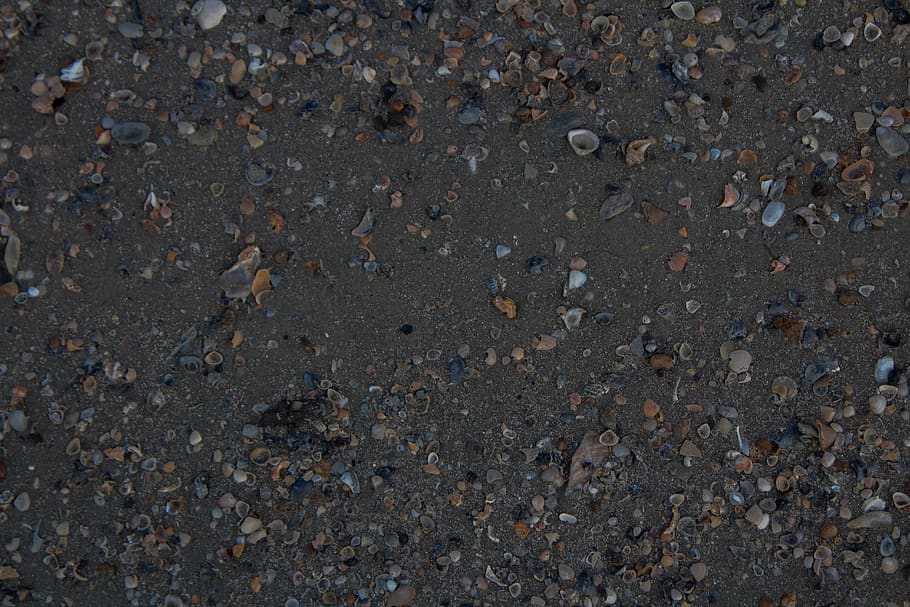 atlantic, atlanticocean, beaching, shore, shine, sunny, july HD wallpaper