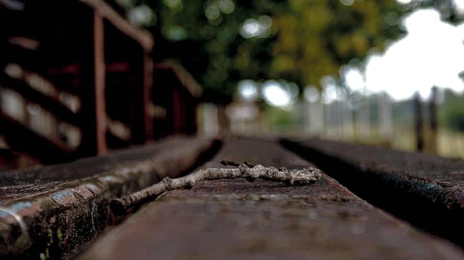 Brown Stick on Concrete Surface, bleachers, blur, blurred background HD wallpaper