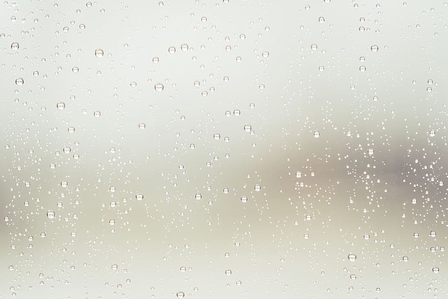 water dews, backgrounds, drop, wet, no people, rain, full frame HD wallpaper