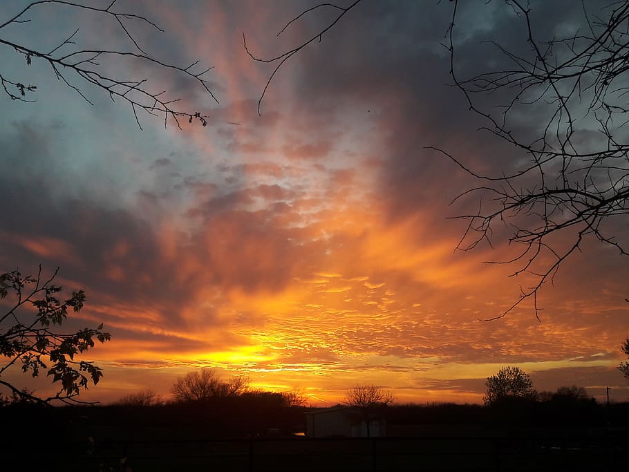 texas, sunset, sky, orange color, beauty in nature, cloud - sky HD wallpaper