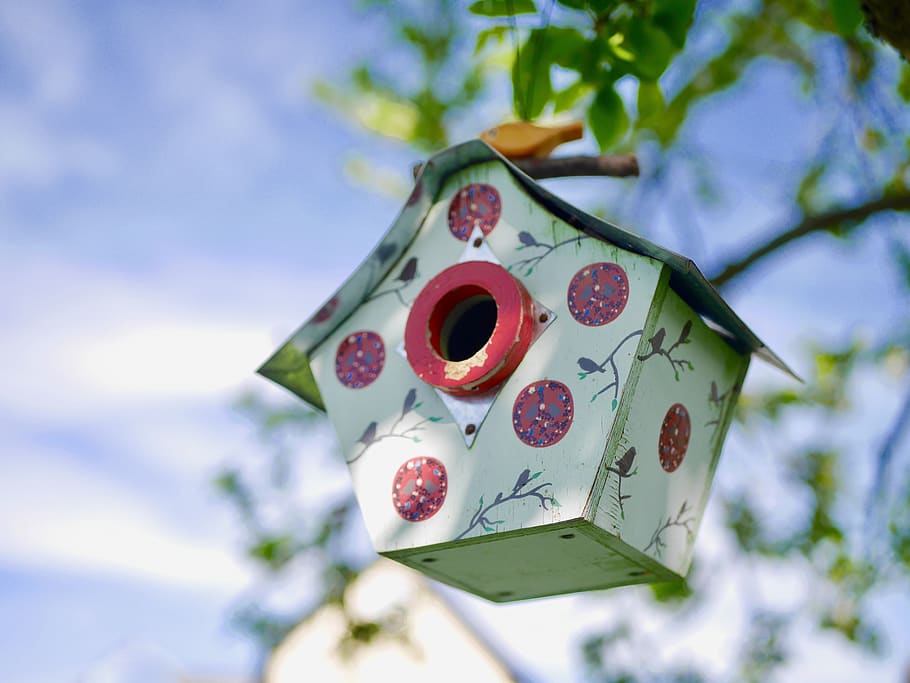 garden, nature, spring, handmade, nest, aviary, sky, tree, low angle view HD wallpaper
