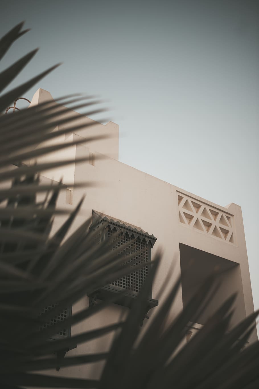 White Building, architecture, plant, low angle view, built structure HD wallpaper