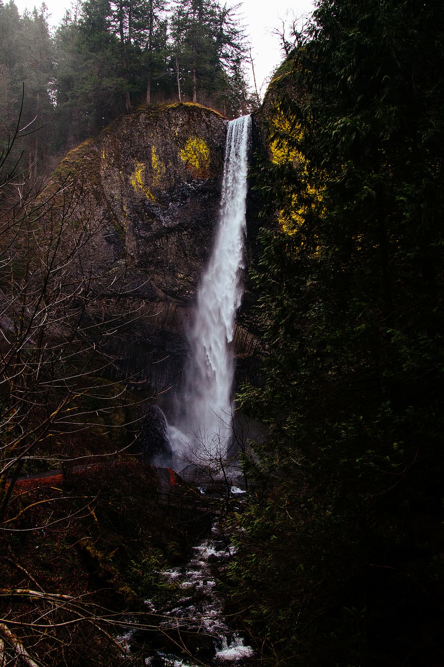 waterfalls during daytime, tree, plant, forest, motion, scenics - nature HD wallpaper