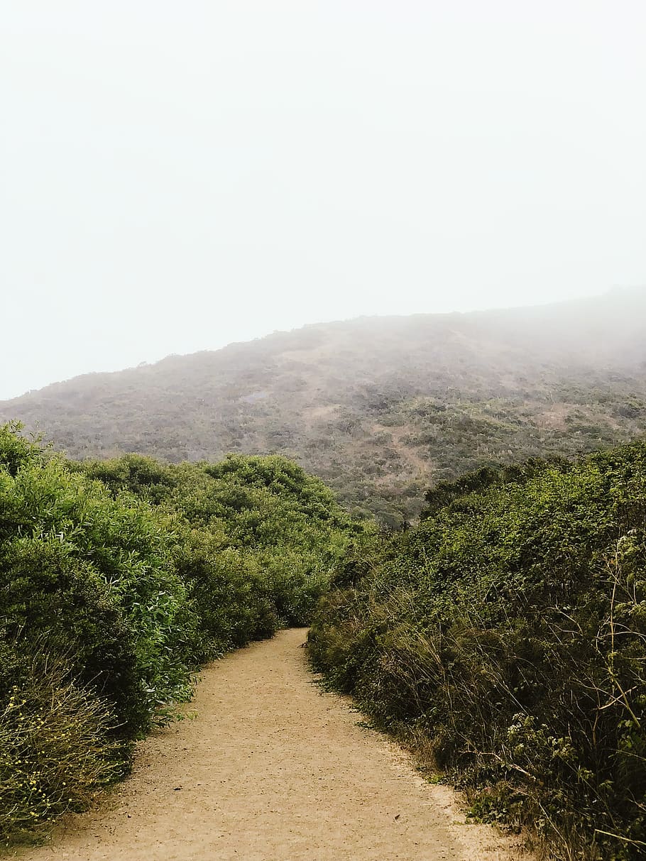 path, plant, sky, tranquility, beauty in nature, tranquil scene HD wallpaper