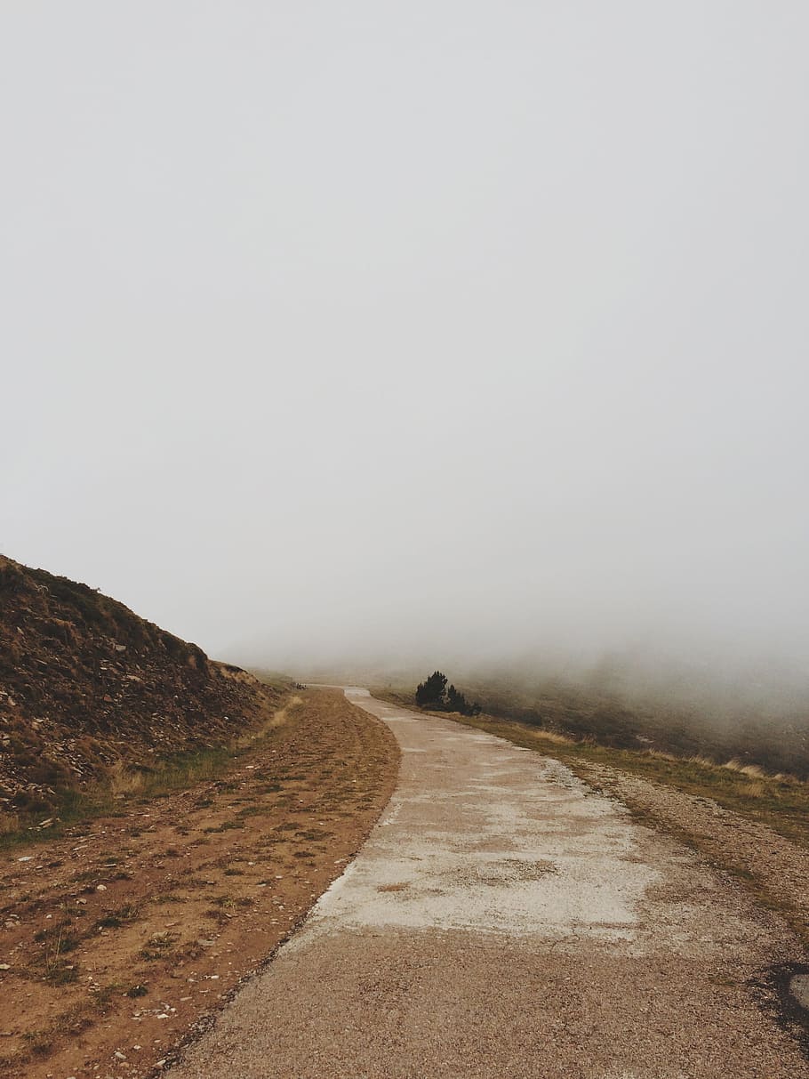 fog, road, path, way, white, unclear, the way forward, direction HD wallpaper