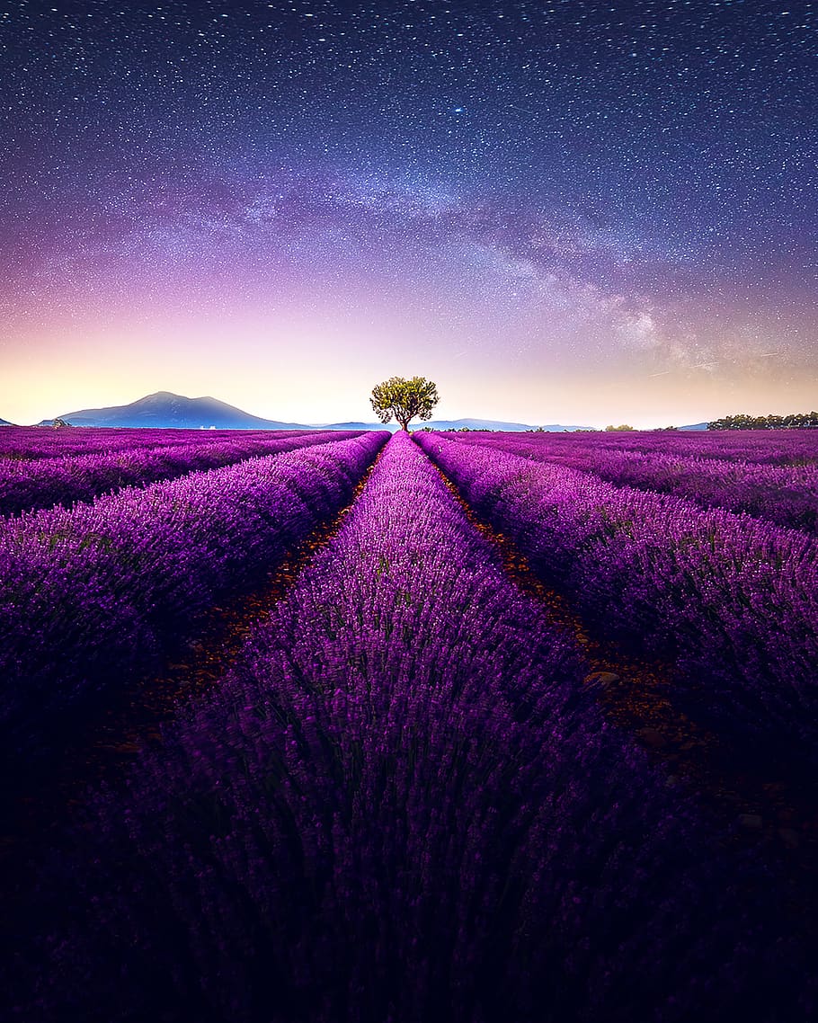 night, landscape, iphone wallpaper, field, sky, purple, beauty in nature