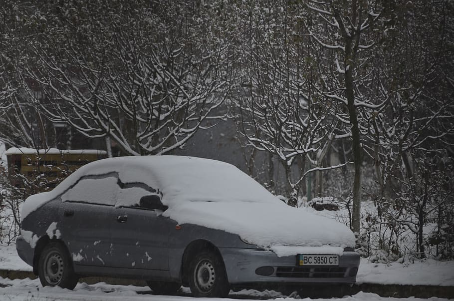 winter, car, snow, cold temperature, tree, motor vehicle, mode of transportation HD wallpaper
