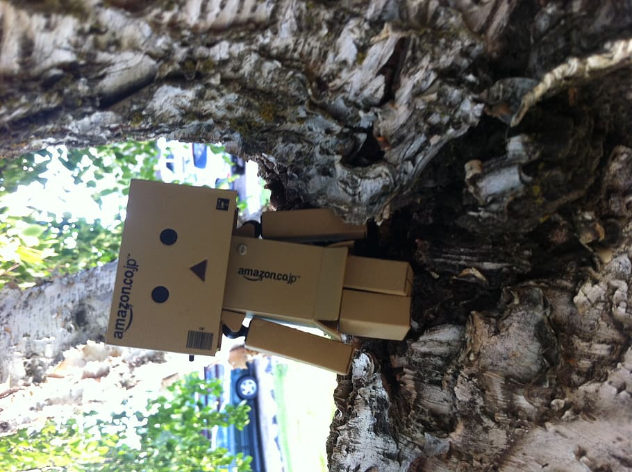 danbo, birch tree, tree climbing, toy, cardboard robot, day HD wallpaper