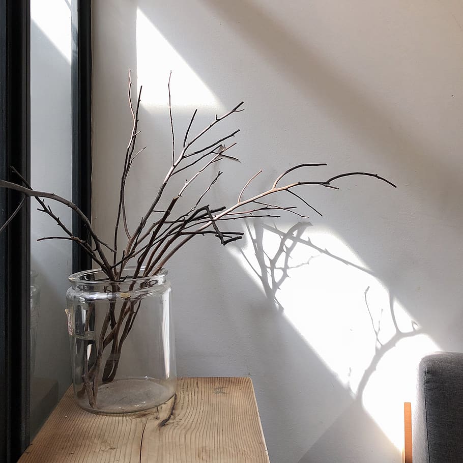 brown twig, art, vase, pottery, plant, ornament, jar, ikebana HD wallpaper