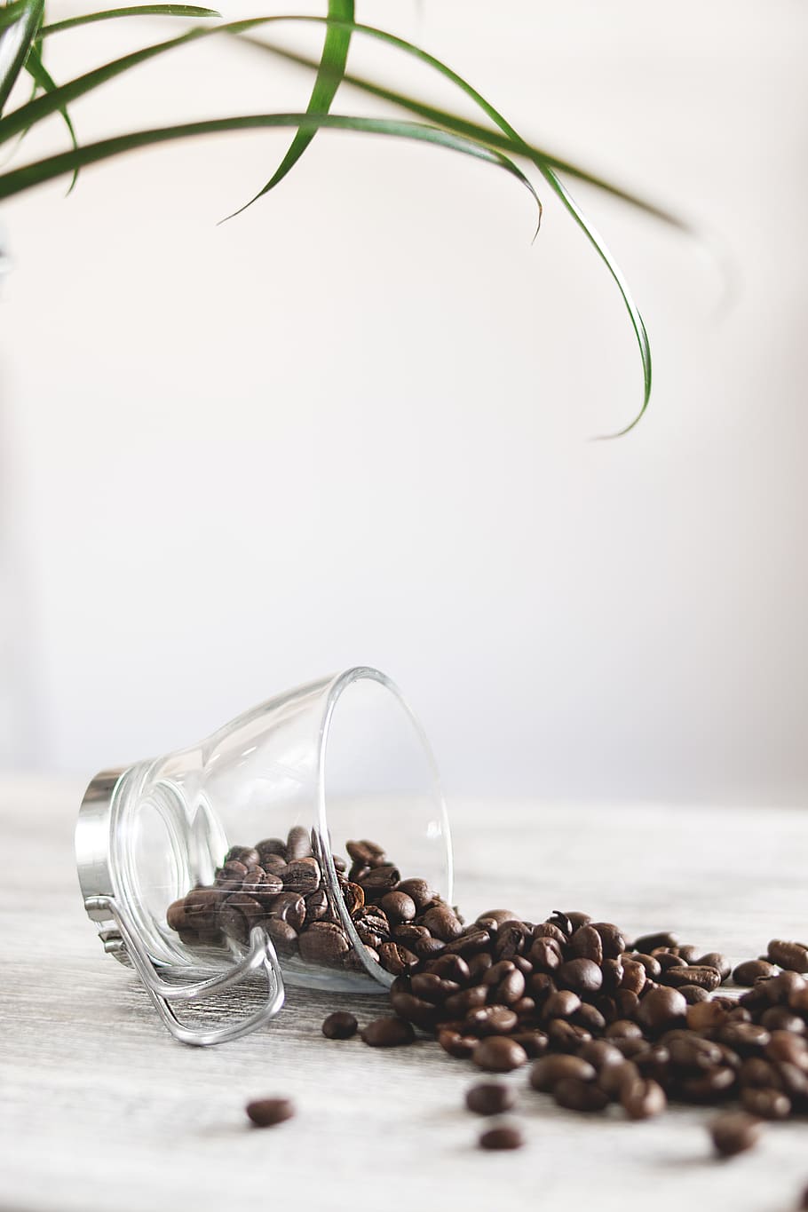 Photo of Spilled Coffee Beans, aromatic, cup, glass, mug, still life HD wallpaper