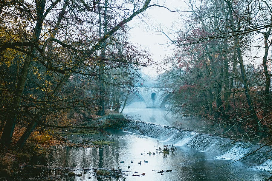 river surrounded by trees, water, nature, outdoors, land, canal HD wallpaper