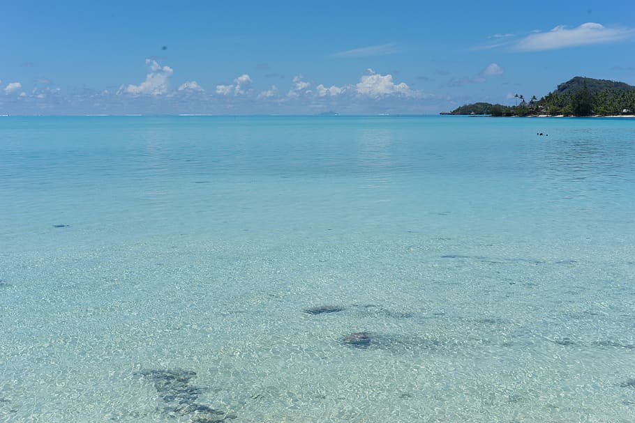 french polynesia, matira point, bora bora, beach, water, sea HD wallpaper