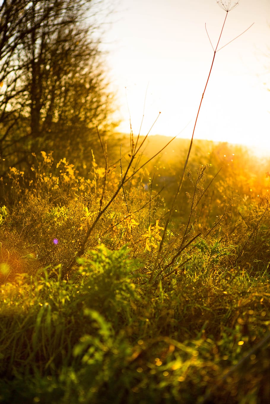 sky, autumn, landscape, sunset, twilight, mood, nature, tranquility HD wallpaper