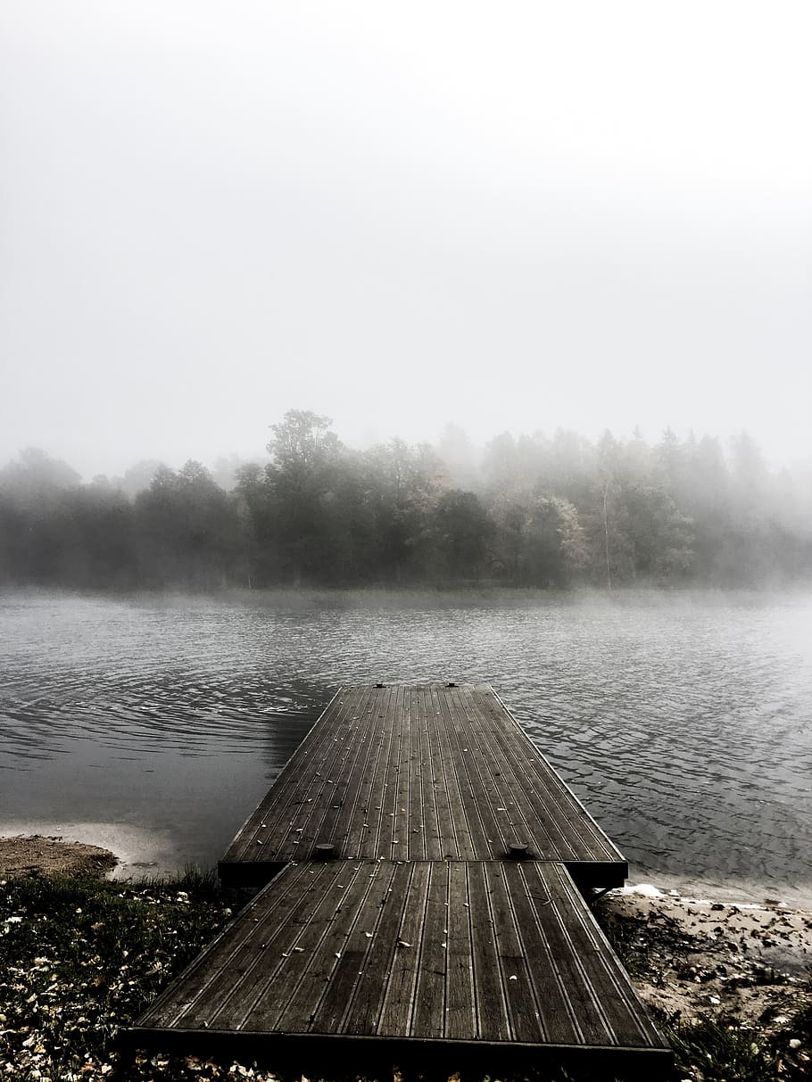 wooden dock facing trees, nature, waterfront, pier, port, outdoors HD wallpaper