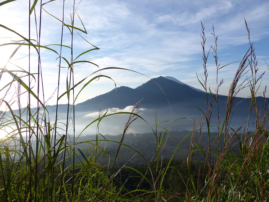 indonesia, bali, plant, sky, grass, beauty in nature, tranquility HD wallpaper