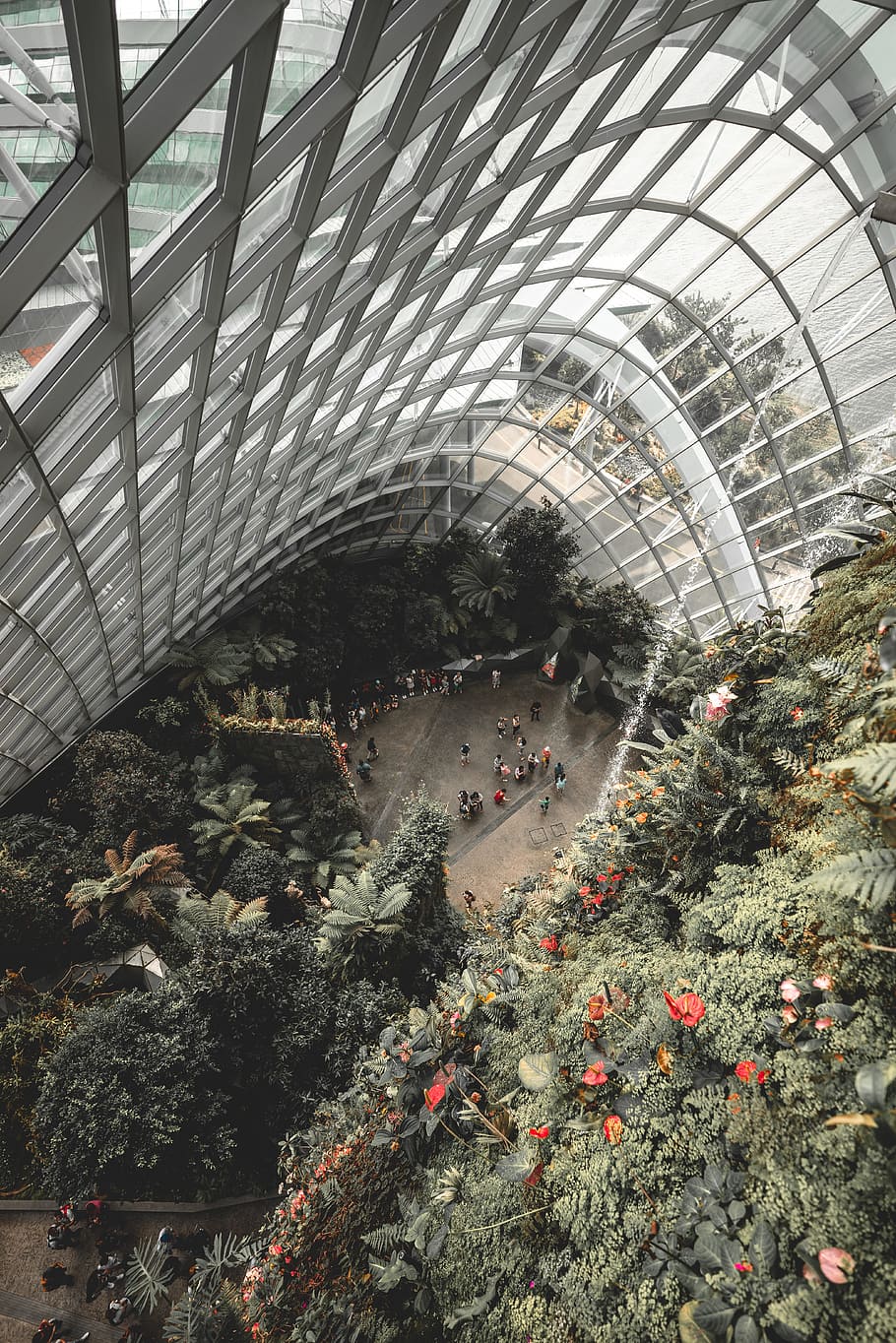 aerial photo of people on ground surrounded by flowers and trees during daytime HD wallpaper