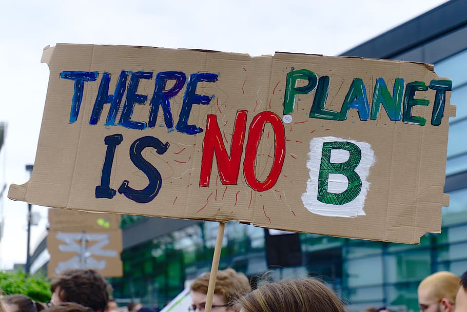 fridays for future, climate strike, demonstration, school strike, HD wallpaper