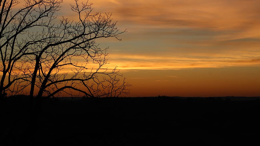 sun, tree, orange, shadow, nature, landscape, trees, sky, path HD wallpaper