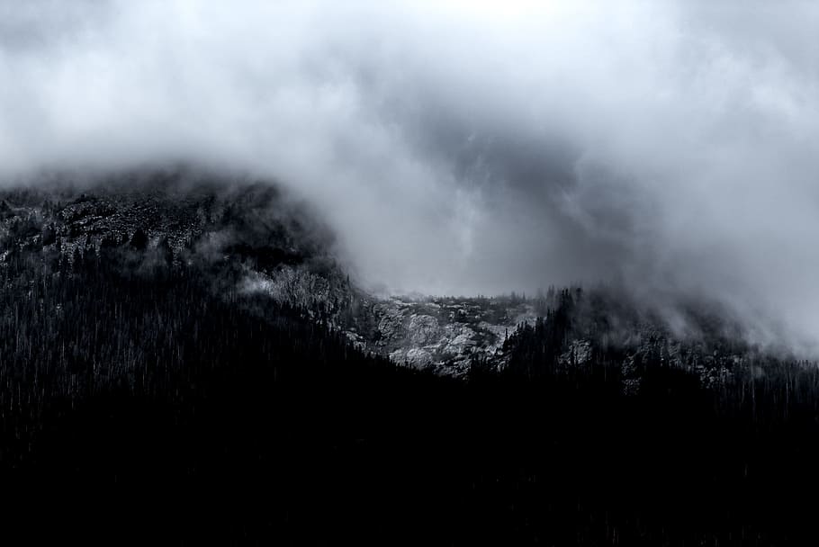 mountain covered with fog, cloud, minimal, rock, forest, weather HD wallpaper