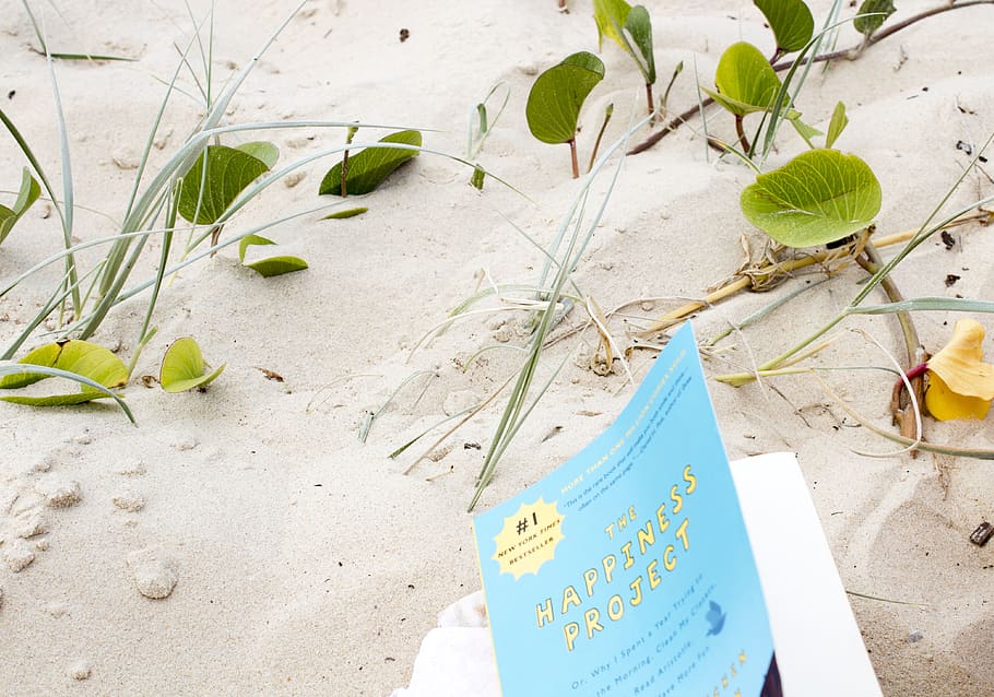 blue labeled book on white surface, plant, plant part, leaf, nature HD wallpaper