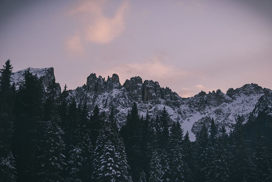 Snow Covered Mountain, cold, daylight, forest, landscape, nature HD wallpaper