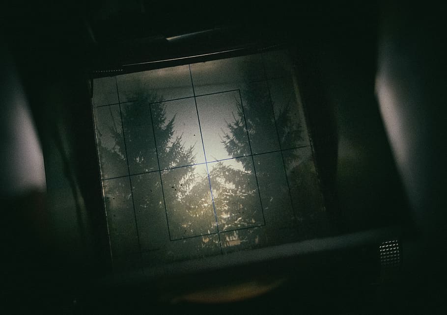 window, tree, glass - material, no people, indoors, transparent HD wallpaper