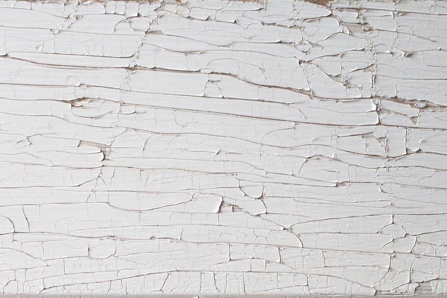 wood, texture, decay, rot, textures, closeup, textured, backgrounds, HD wallpaper