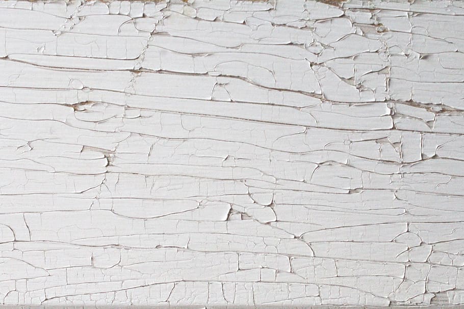 wood, texture, decay, rot, textures, closeup, textured, backgrounds HD wallpaper