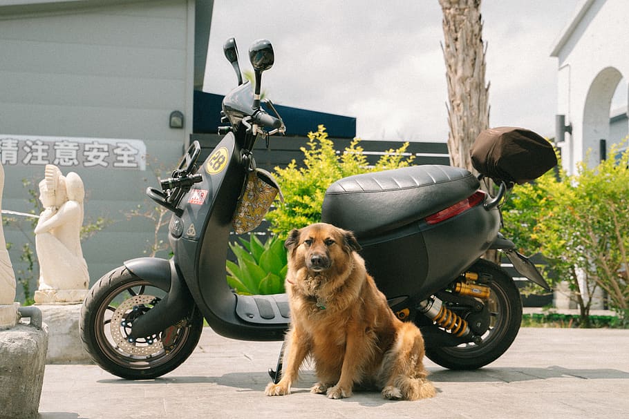 machine, wheel, transportation, vehicle, motor scooter, motorcycle HD wallpaper