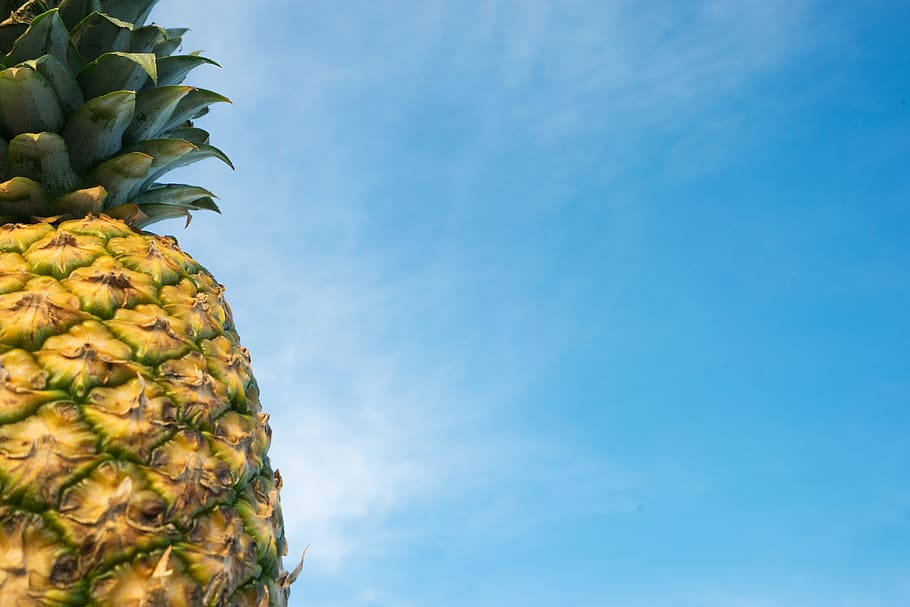 pineapple, sky, fruit, summer, healthy, wellness, food, food and drink HD wallpaper