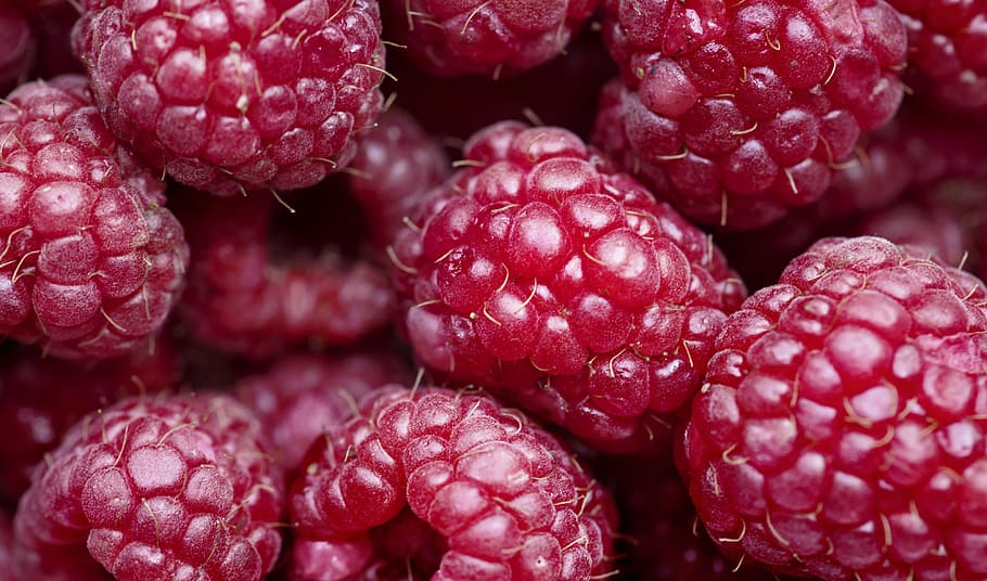 background, berry, closeup, delicious, dessert, detox, diet HD wallpaper
