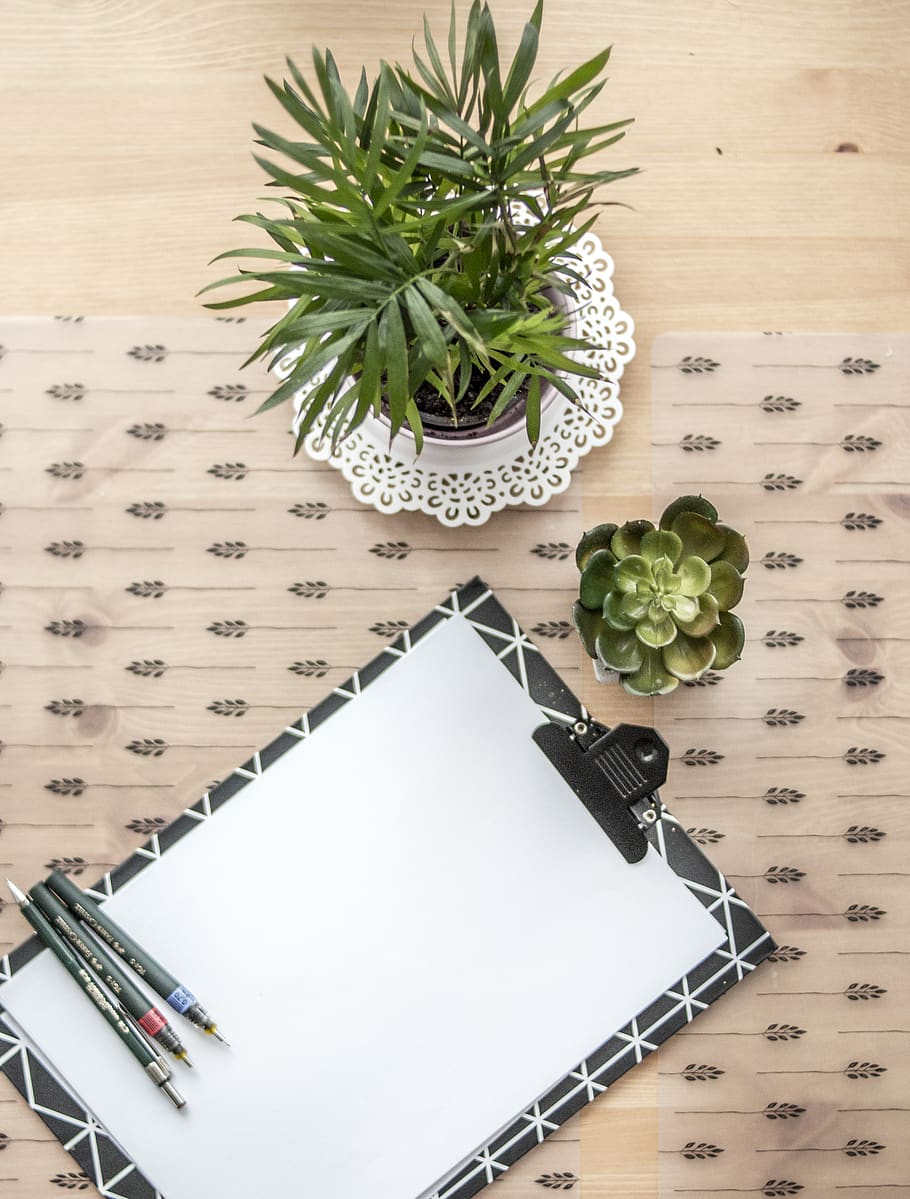 Black And White Clip Board Beside Succulent Plant, blank, clipboard HD wallpaper
