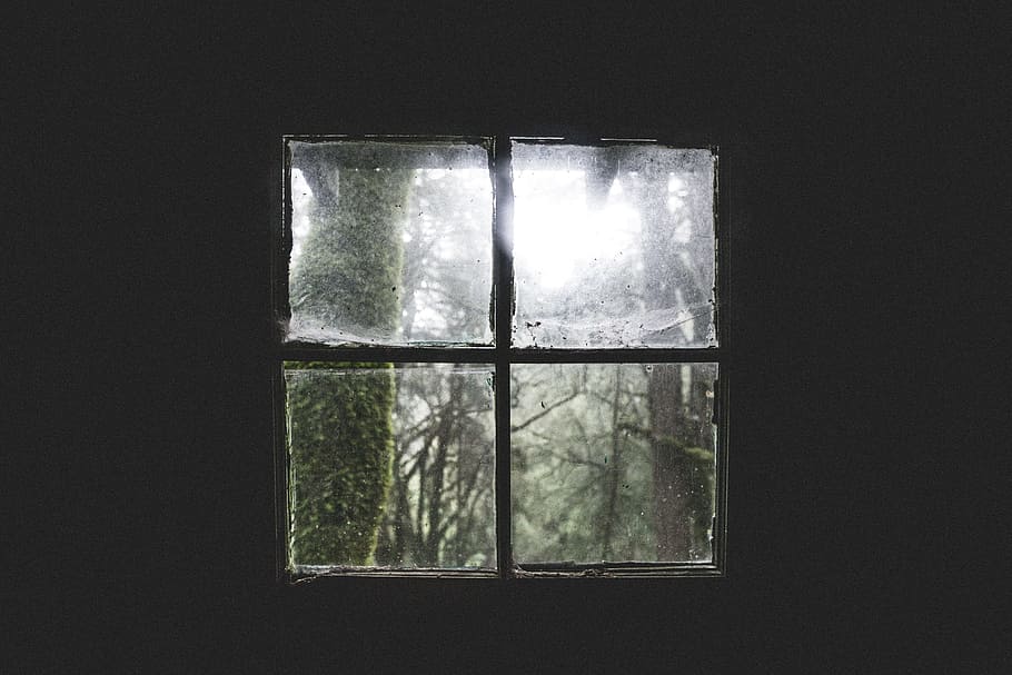 window panel, silhouette, forest, tree, dark, glass, square, nature, HD wallpaper