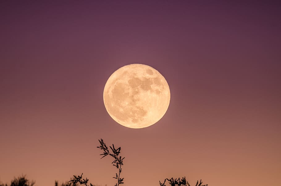 sky, november, moonset, moonrise, full moon, supermoon, night, HD wallpaper