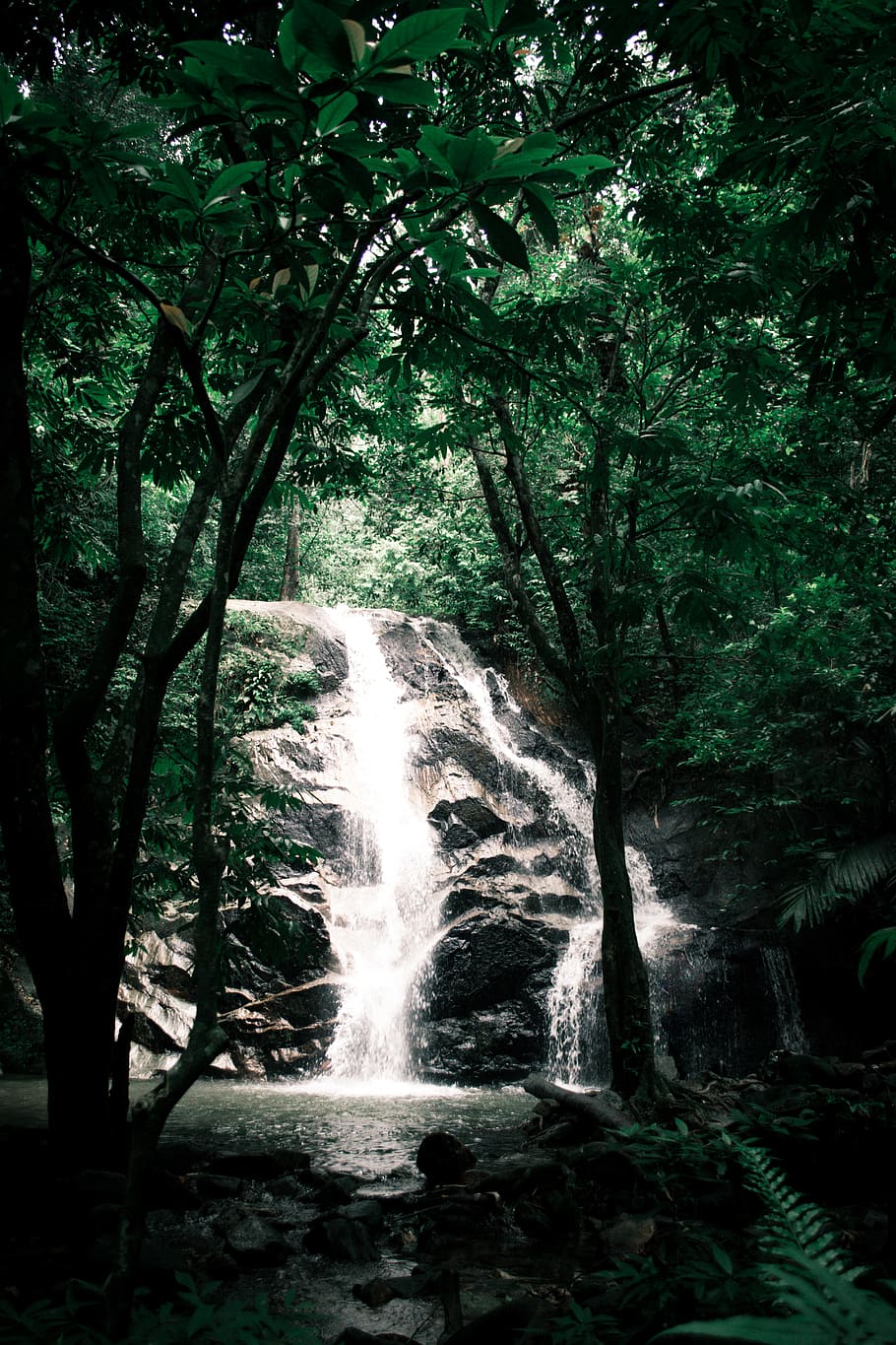 malaysia, batu caves, templer hills, hidden, moody, waterfall, HD wallpaper