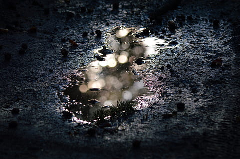 dirt, puddle, water, mud, mirroring, contrast, reflection, water puddle HD wallpaper