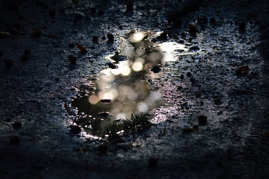 dirt, puddle, water, mud, mirroring, contrast, reflection, water puddle, HD wallpaper