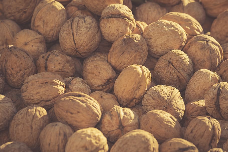 nuts, walnuts, fruit bowl, eat, healthy, decoration, natural HD wallpaper