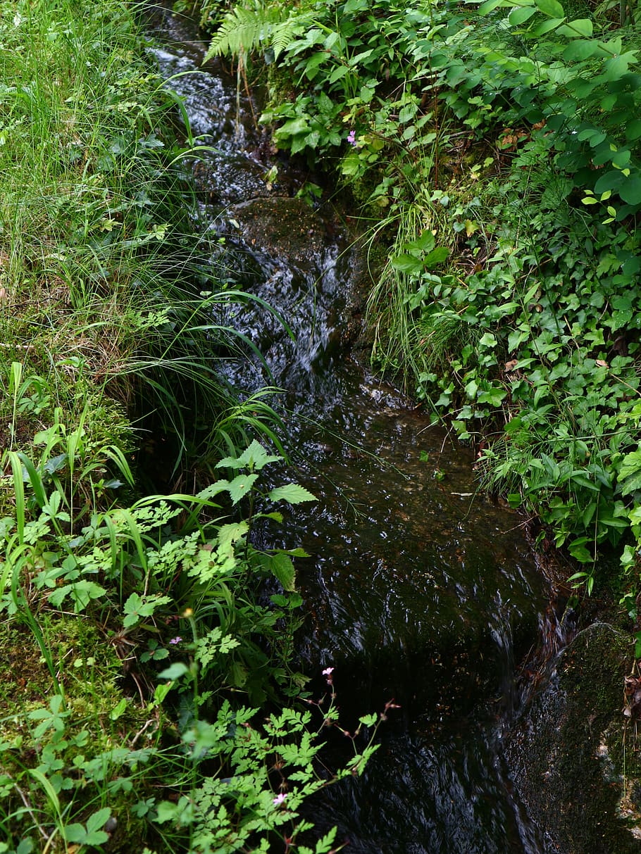 river, bach, water, nature, landscape, creek, flowing, waters, HD wallpaper