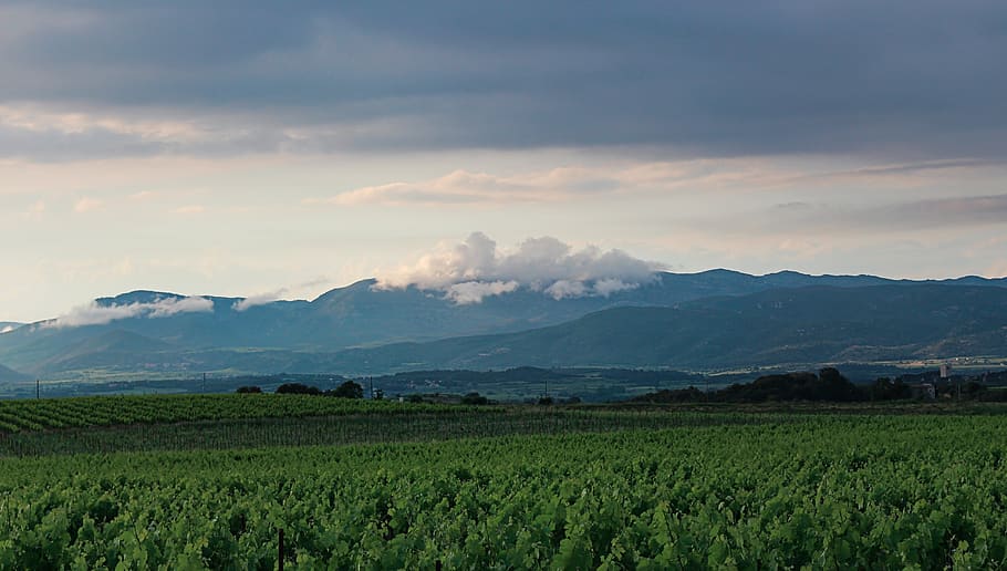 france, gignac, cloud, mountain, weather, landscape, vines HD wallpaper