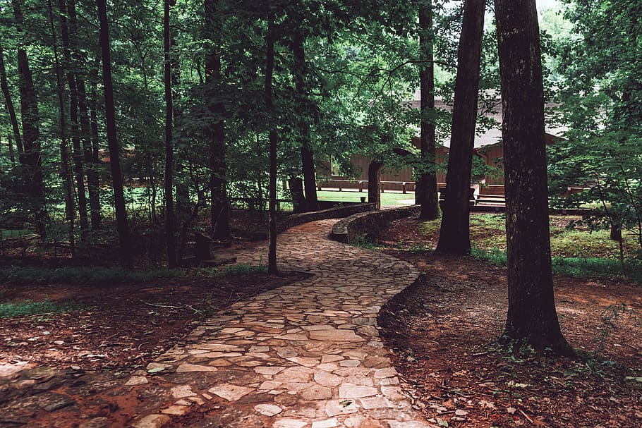 united states, dawsonville, amicalola falls state park, cobble, HD wallpaper