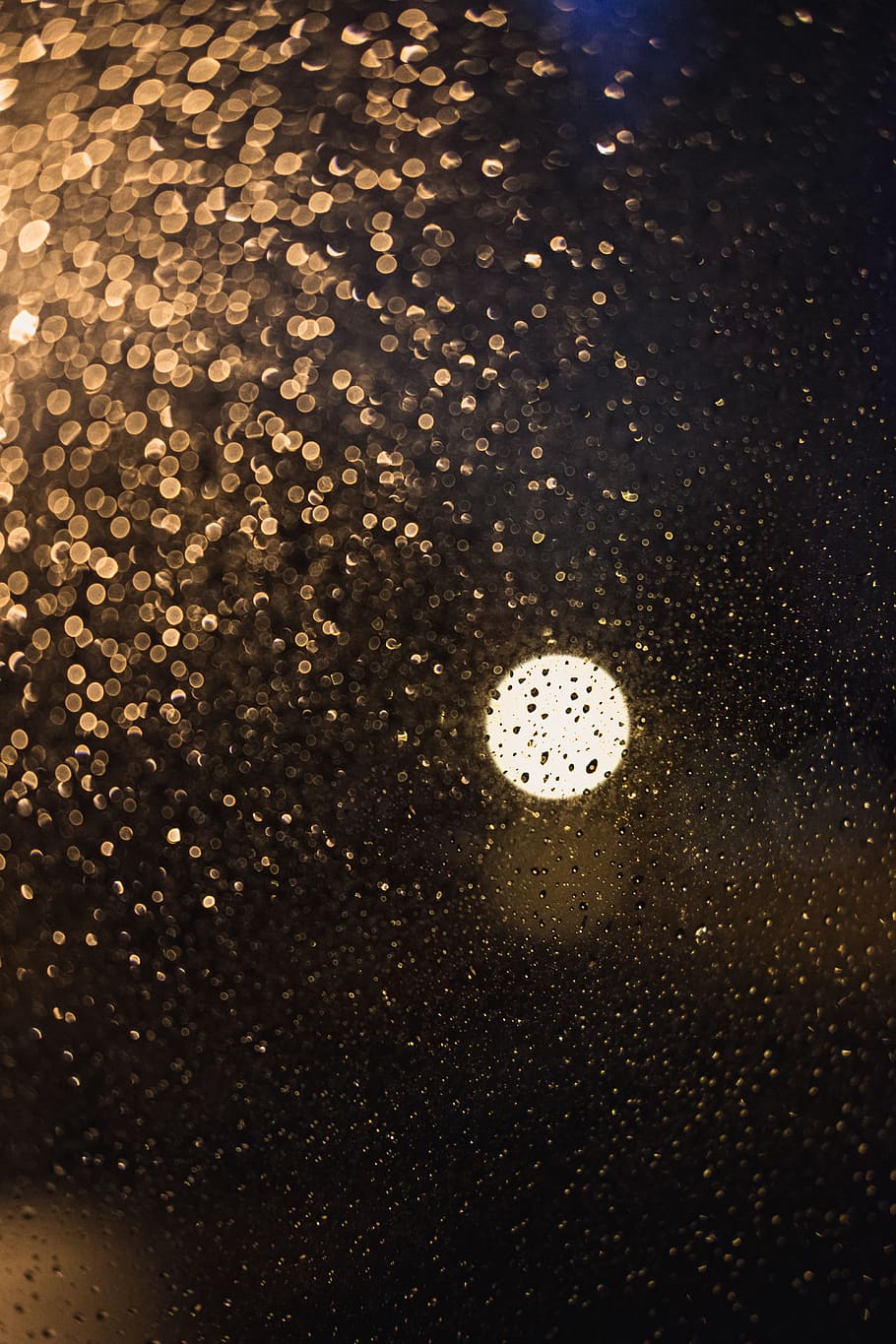 bokeh, light, abstract, highlights, yellow, circle, rain, window HD wallpaper
