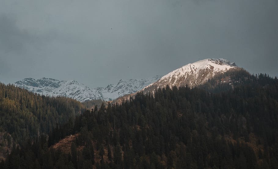 mountain photography, tree, scenics - nature, snow, winter, cold temperature HD wallpaper