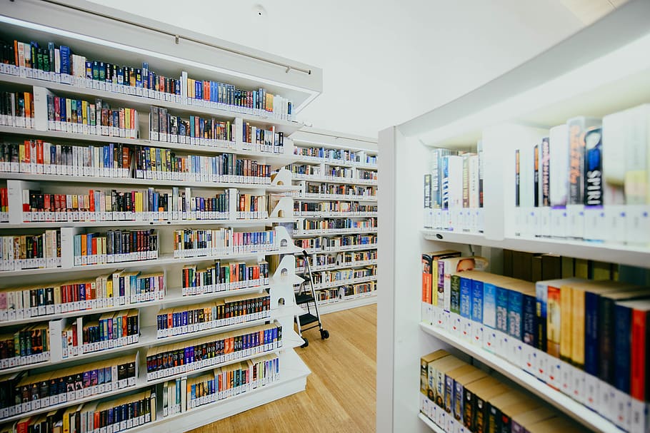 inside library, shop, shelf, pharmacy, indoors, book, room, furniture, HD wallpaper