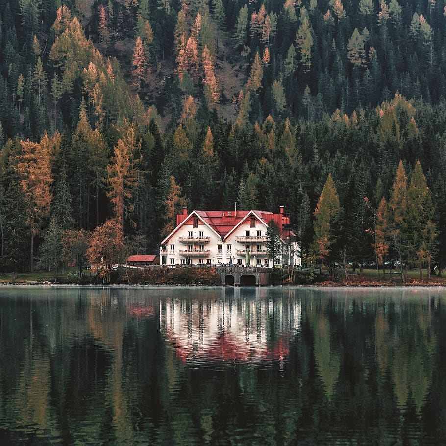 White and Orange House Beside Forest and Body of Water, park HD wallpaper