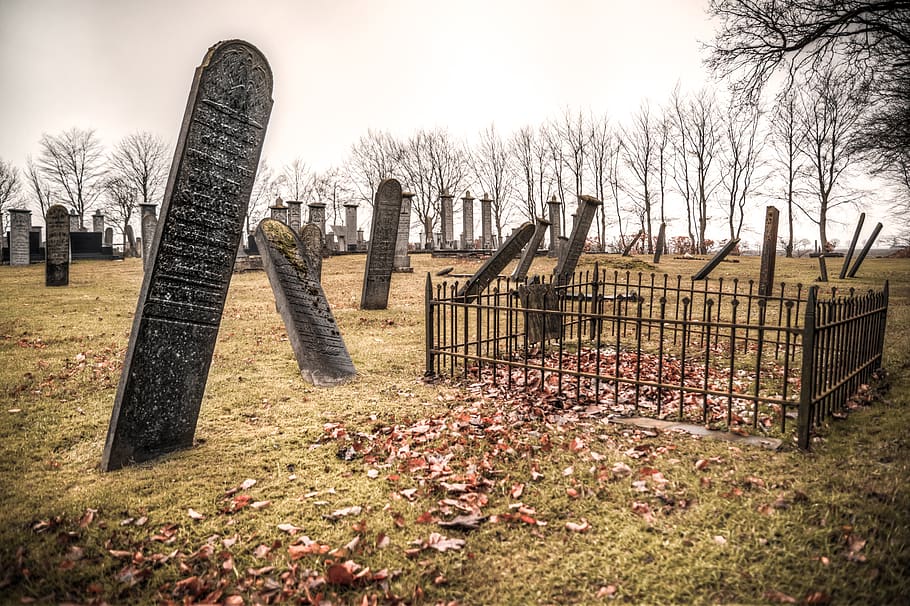 old, stone, ancient, architecture, tree, death, grave, dead HD wallpaper