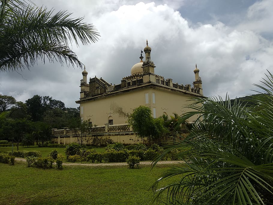 plant, grass, architecture, dome, building, arecaceae, palm tree HD wallpaper
